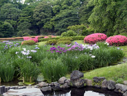 �������ɎB�����ԏҊ��ƃT�c�L�ł�