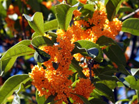 �{�ېՂ̋��؍҂ł��B