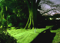 �k�̊ۂ̎��̋x�e��ł��B�S��ʂł��B