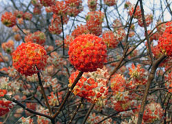 �����P�X�N�F�X�V���܂����B