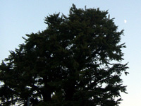 �����F�����P�U�N�P�O���Q�P��