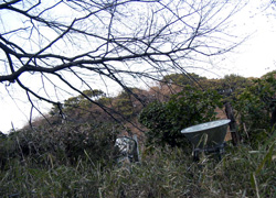 ����������y���݂ł��B