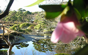 �֏Љ�̃y�[�W��