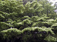 ���}�{�E�V