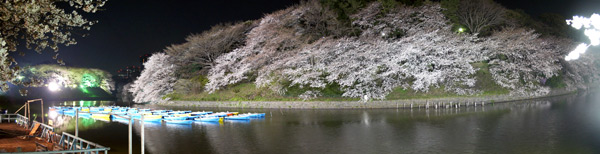 �璹�����̖��